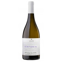 Vinosia Sintonia Irpinia Bianco DOC