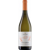 Cantina Colli del Soligo Pinot Grigio Delle Venezie DOC