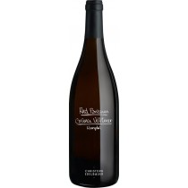 Edelbauer Edelbauer Grüner Veltliner Ried Panzaun DAC