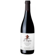 Brigaldara Il Vegro - Superiore Valpolicella Ripasso DOC