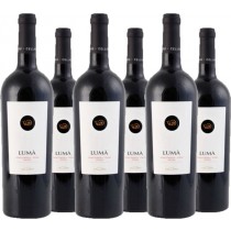 Cellaro 6er Vorteilspaket Luma Nero d′Avola IGT