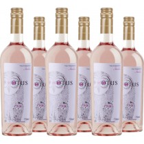 Asio Otus 6er Vorteilspaket Rosato Vino varietale d