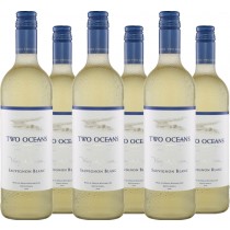 Two Oceans 6er Vorteilspaket Vineyard Selection Sauvignon Blanc