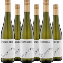 Sprungkraft 6er Vorteilspaket Cuvée weiss "Hoch"