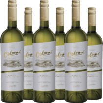 Bodega Colomé 6er Vorteilspaket Colomé Torrontés Valle Calchaquí Salta