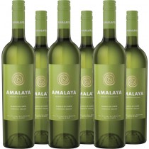 Bodega Amalaya 6er Vorteilspaket Amalaya blanco Valle Calchaquí Salta