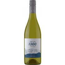 Andeluna Cellars Chardonnay Andeluna 1300 Tupungato Mendoza SALE