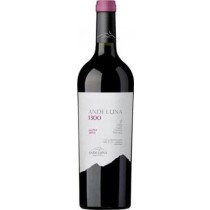 Andeluna Cellars Merlot Andeluna 1300 Tupungato Mendoza