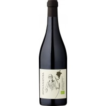 Zanasi Societa Agricola Zanasi Antica Natura Lambrusco –