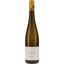 Luckert Creutz Silvaner, wurzelecht