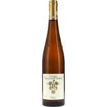 Ökonomierat Rebholz Riesling Im Sonnenschein GG