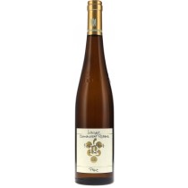 Ökonomierat Rebholz Kastanienbusch Riesling GG