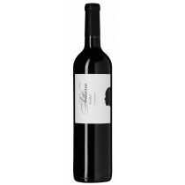 Bodega Sottano Malbec I.P. Mendoza - Argentina