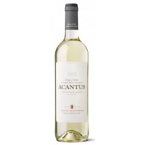 Bodegas Olarra Acantus Sauvignon Blanc