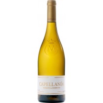 Marqués de Murrieta Capellania Rioja Reserva Blanco