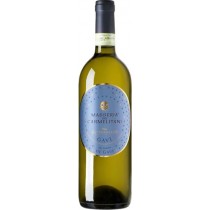 Vite Colte- Terre da Vino Gavi di Gavi 