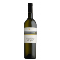 Tolloy Tolloy Pinot Grigio Alto Adige DOC