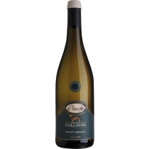 Collavini Villa Canlungo Pinot Grigio Collio DOC