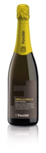 Ribolla Gialla Brut  Forchir Friaul-Julisch Venetien