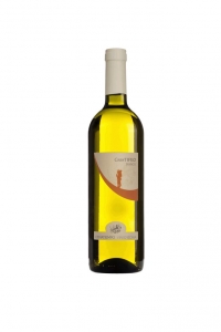 Falanghina Gran Tifeo Bianco IGT Cenatiempo Kampanien