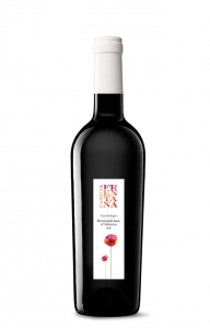 Montepulciano d'Abruzzo DOC BIO 2019 Cantina Frentana Abruzzen