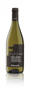 Pinot Grigio DOC Famiglia Bianchini 2023 Forchir Friaul-Julisch Venetien