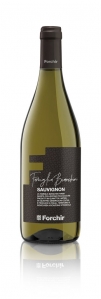 Sauvignon DOC Famiglia Bianchini 2023 Forchir Friaul-Julisch Venetien