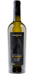 Falanghina Benevento IGP 2023 Fontanavecchia Kampanien