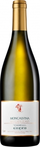 Moncalvina Moscato d’Asti DOCG (0,375l) Coppo Piemont