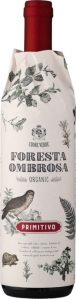 Cuore Verde Foresta Ombrosa IGT Puglia Casa Vinicola Botter Carlo Puglia