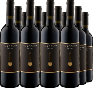 12er Vorteilspaket Terroir Merlot IGP