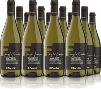 12er Vorteilspaket Sauvignon DOC Famiglia Bianchini