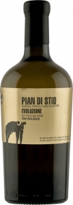 Pian di Stio Evoluzione Fiano 2019 Azienda Agricola San Salvatore Kampanien