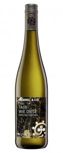 Tage wie diese Riesling trocken Weingut Hammel Pfalz