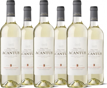 6er Vorteilspaket Acantus Sauvignon Blanc