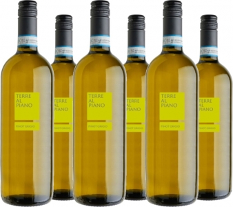 6er Vorteilspaket Pinot Grigio del Veneto DOC DV