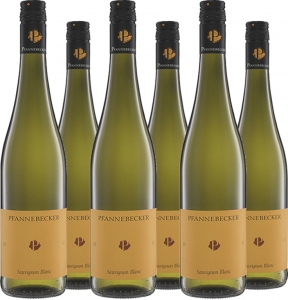 6er Vorteilspaket Sauvignon Blanc QbA trocken