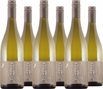 6er Vorteilspaket Sauvignon Blanc QbA trocken