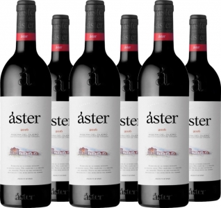 6er Vorteilspaket Áster Crianza Tempranillo Ribera del Duero DO