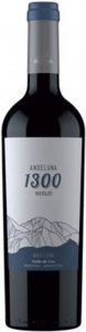 Merlot Andeluna 1300 Tupungato Mendoza 2018 Andeluna Cellars 