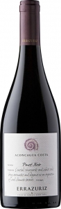 Aconcagua Costa Pinot Noir Aconcagua Costa 2020 Vina Errazuriz 