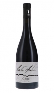 Côtes du Rhône Rouge Cuvée César AOC 2019 Roche-Audran Rhone (Süd)