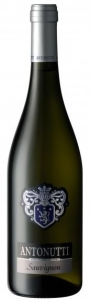 Sauvignon Grave del Friuli DOC  Magnum (1,5l) Antonutti Friaul