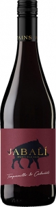 Agoston Tempranillo Cabernet DO Bodegas Paniza Cariñena