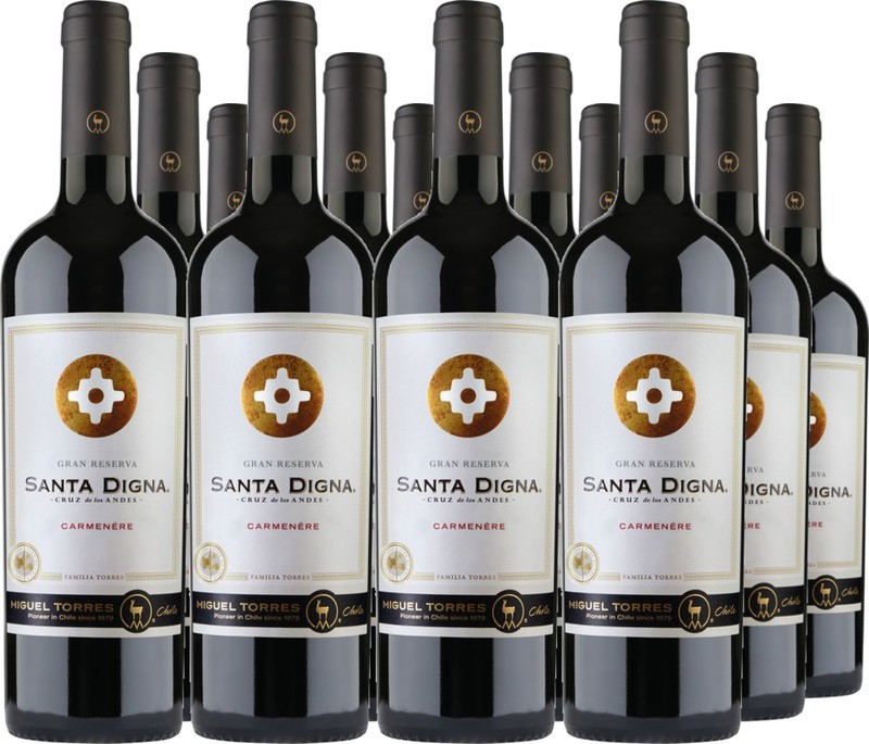 12 Voordeelpakket Santa Digna Carmenère