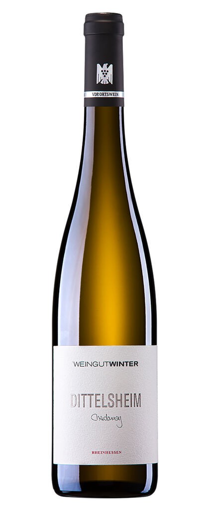 VDP. Ortswein Dittelsheim Chardonnay trocken Weingut Winter Rheinhessen