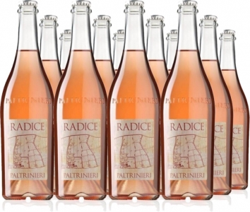 12 Voordeelpakket Radice Lambrusco di Sorbara Frizzante Secco DOC