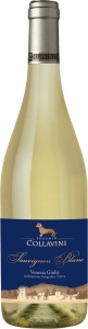 Sauvignon Blanc IGT Venezia Giulia Collavini Friaul