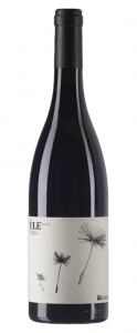 Ùle Shiraz IGT 2020 Federici Lazio