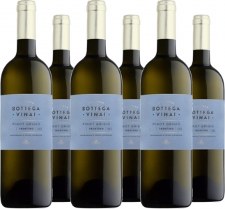 6 Voordeelpakket Pinot Grigio Trentino DOC Bottega Vinai